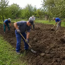 Freziranje zemljišta i ručno kopanje zemlje | preduzimac.co.rs - Novi Sad