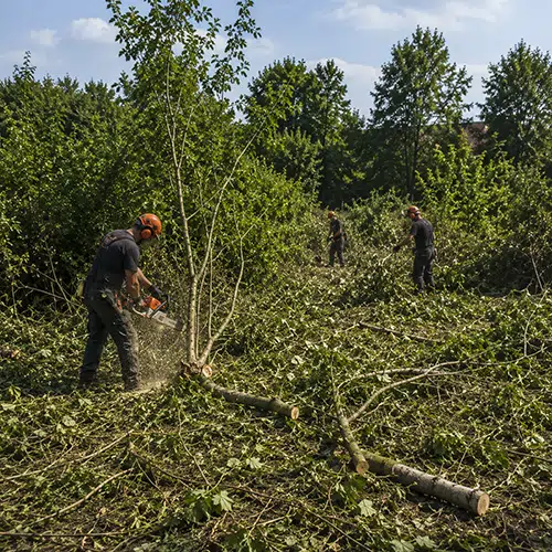 Prikaz krova koji prokišnjava i isti krov nakon sanacije