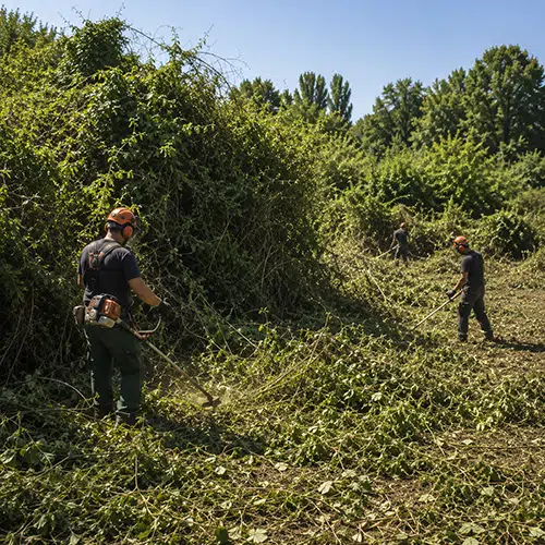 Prikaz renoviranja i rekonstrukcije krova, pre i posle