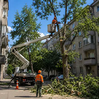 Postavljanje crepa na krov porodične kuće, izrada novog krova.