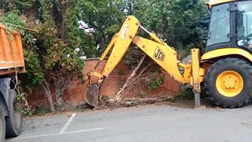 Bager vadi panj | Video