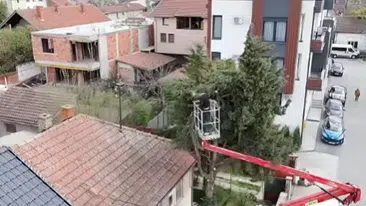 Radnik seče motornom testeron stablo iz korpe dizalice na nepristupačnom mestu u velikoj blizini stambenog objekta | Video