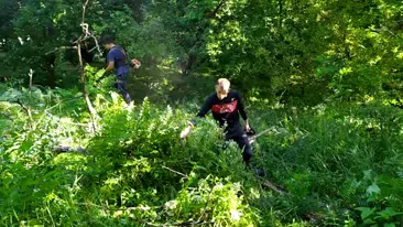 Prikaz radova na košenju i krčenju dvorišta | Video