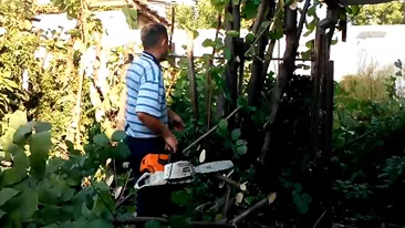 Prikaz kombinovanih radova na uređenju dvorišta | Video