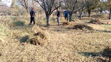 Prikaz kosenja, krčenja i raščišćavanja dvorišta vikendice | Video