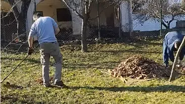 Prikaz kosenja, krčenja i raščišćavanja dvorišta vikendice | Video