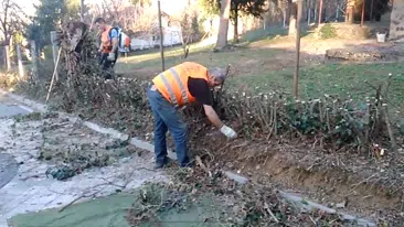 Prikaz sezonskog uređenja dvorišta | Video