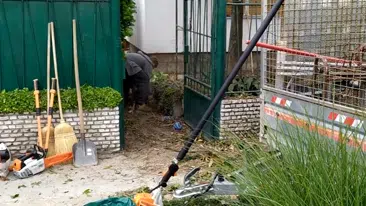 Prikaz čišćenja i uređenja dvorišta | Video
